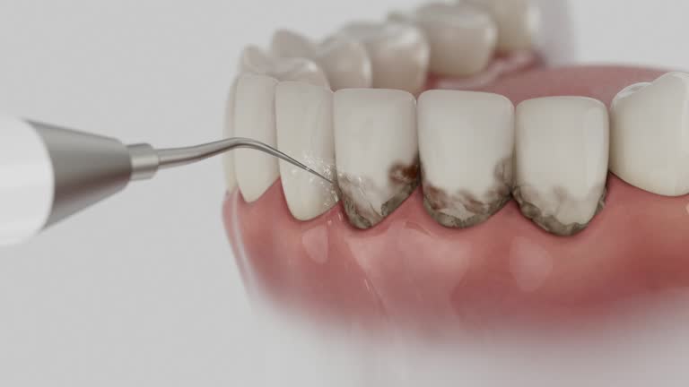 Reliable Dental contractor in Halsey, OR by Dentist Open Now